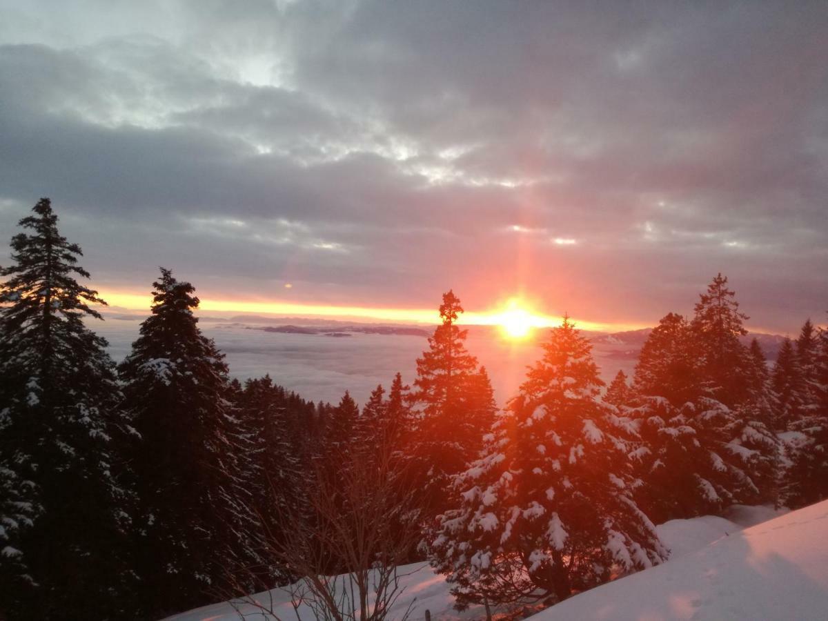 Apartmaji Vrhovnik Cerklje na Gorenjskem Dış mekan fotoğraf